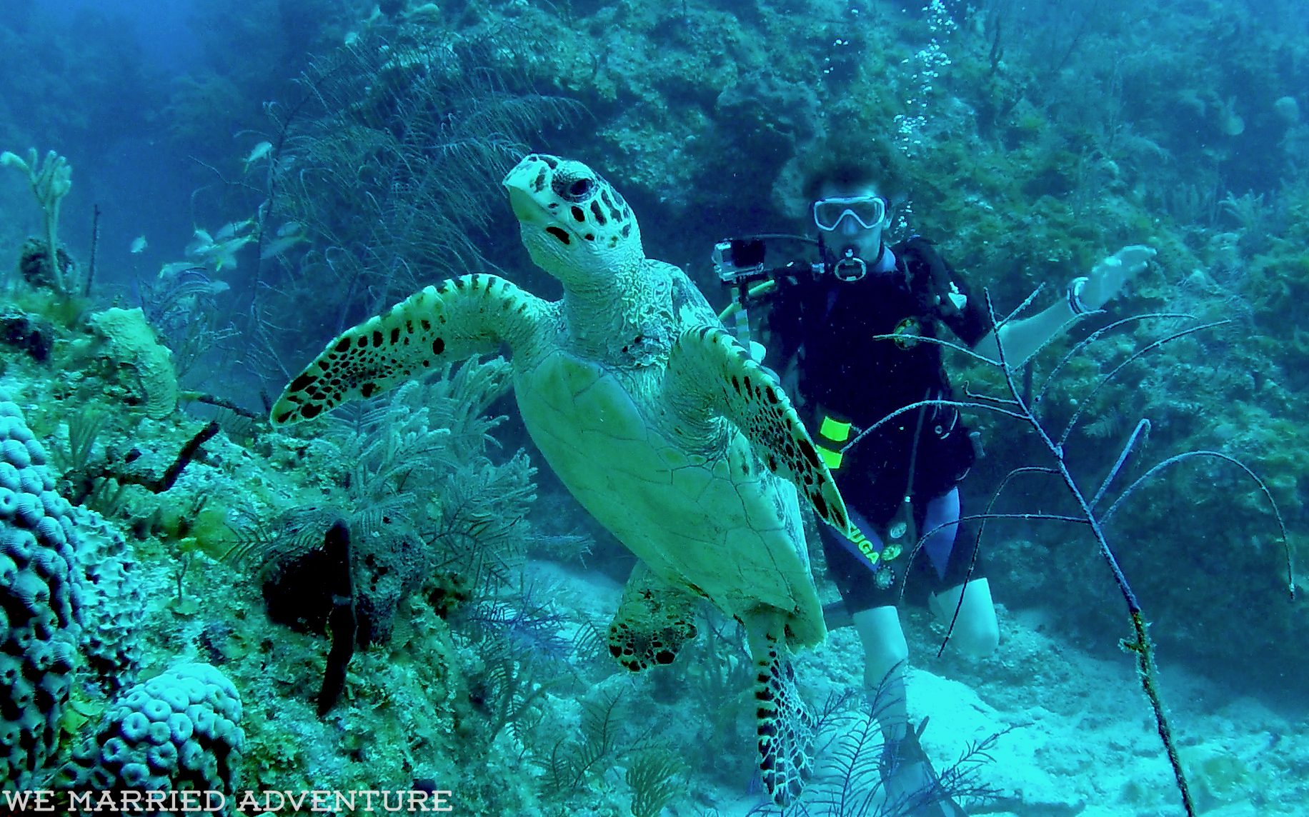Annual Guys’ Dive Trip: Grand Bahama