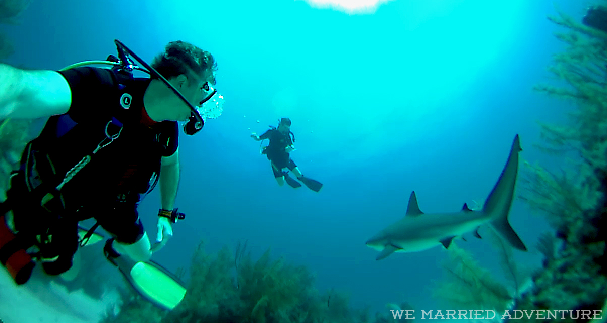 Guys’ Dive Trips: Building Memories to Last a Lifetime