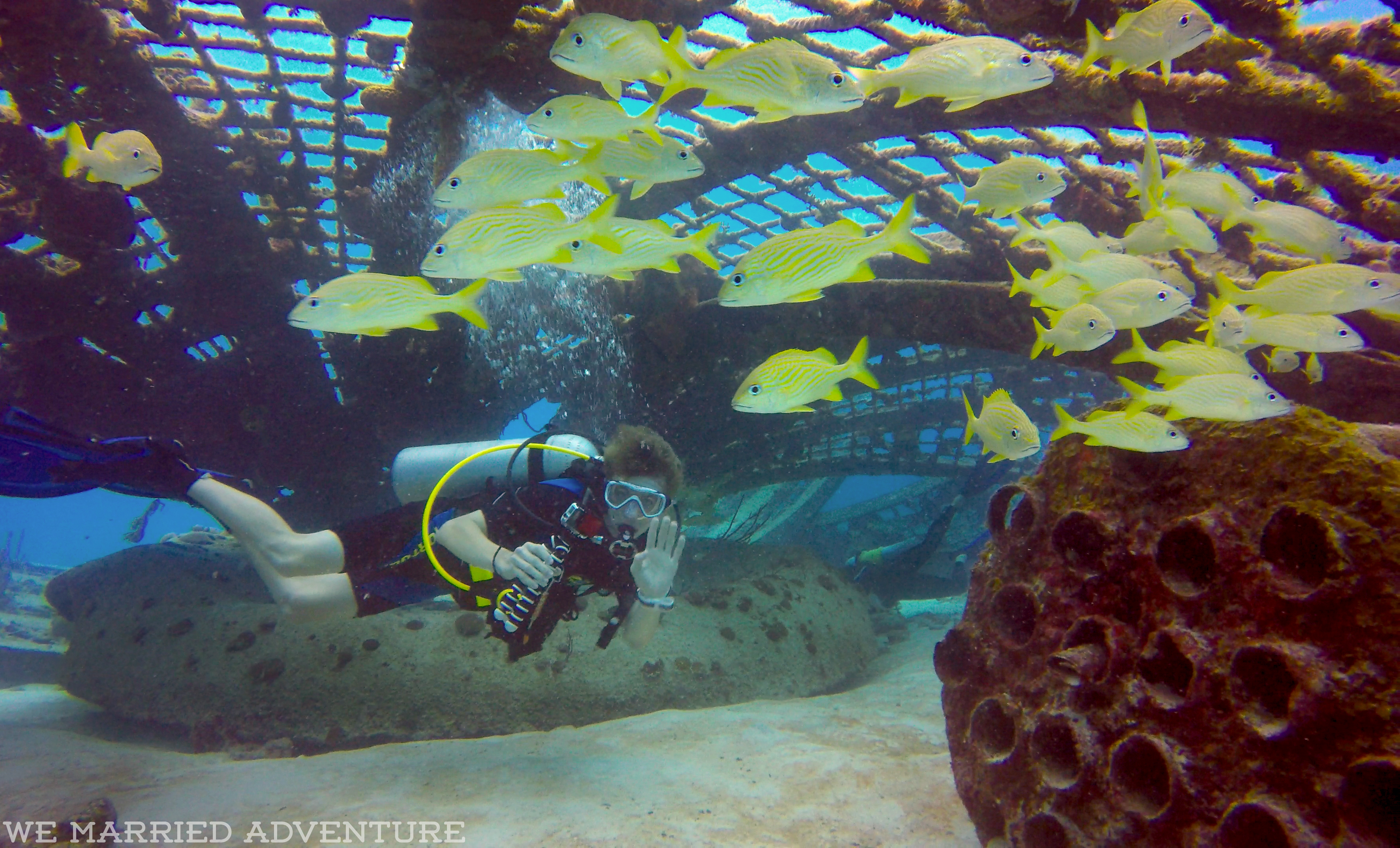 Turks and Caicos: Diving in the Thunderdome