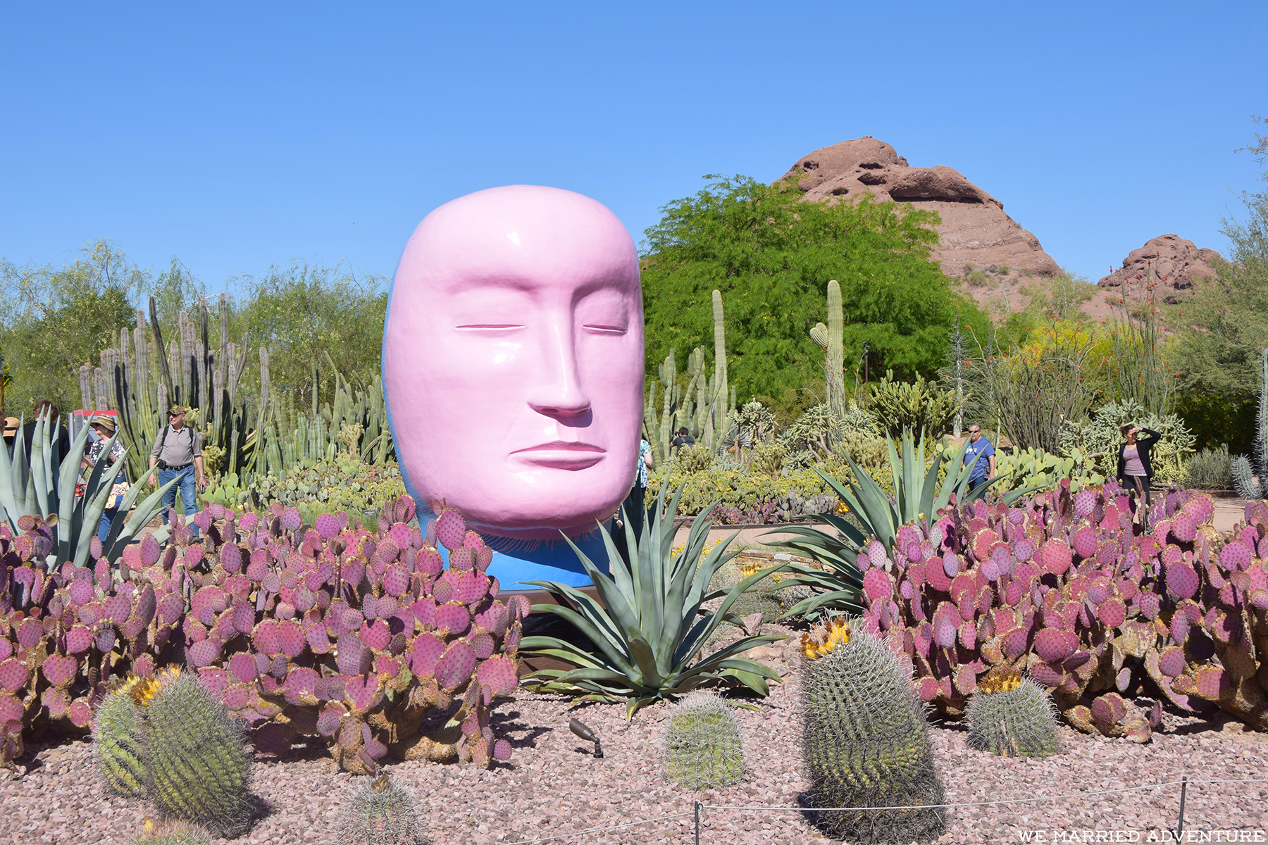 Phoenix, Arizona: Classic Cars, Desert Gardens, and Hot Air Balloons