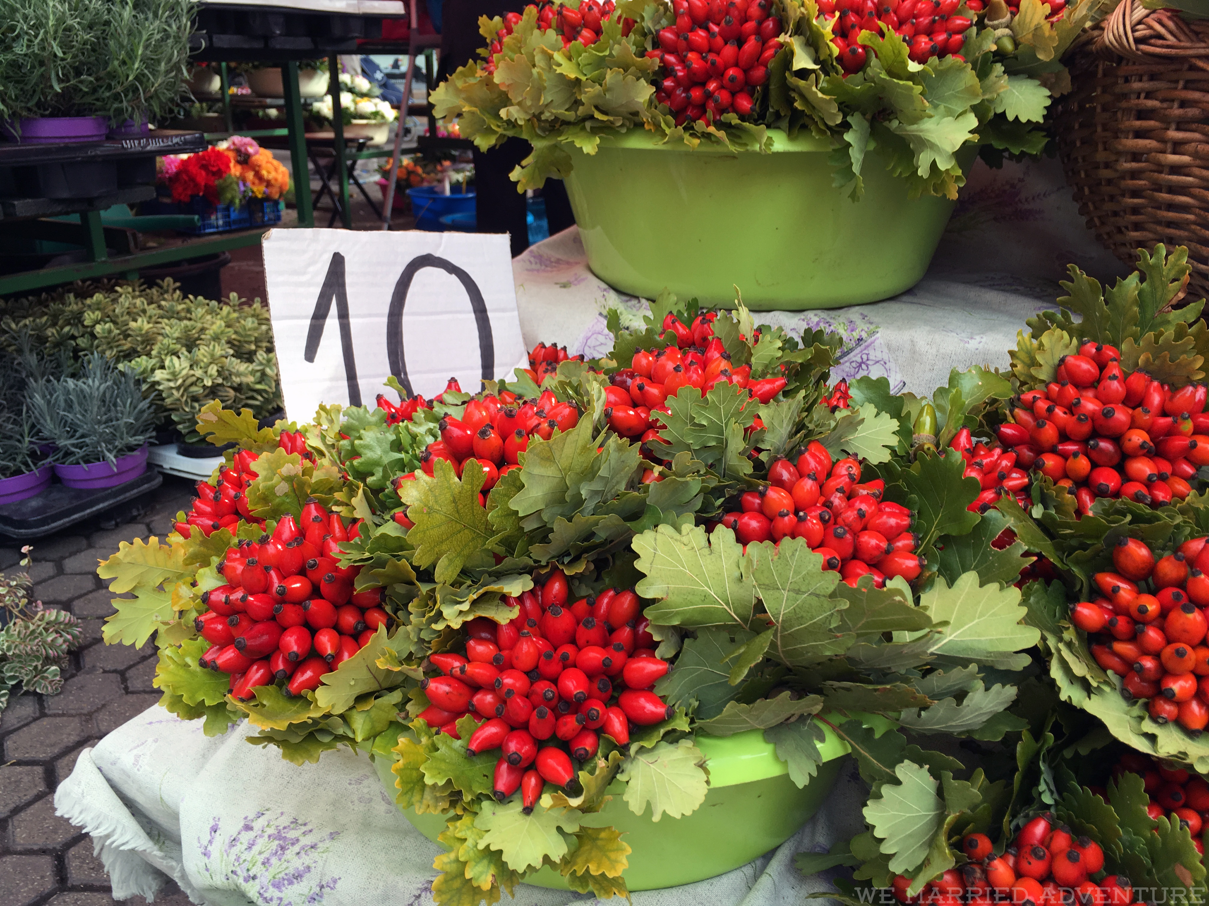 Adventure in a Day: Zagreb, Croatia