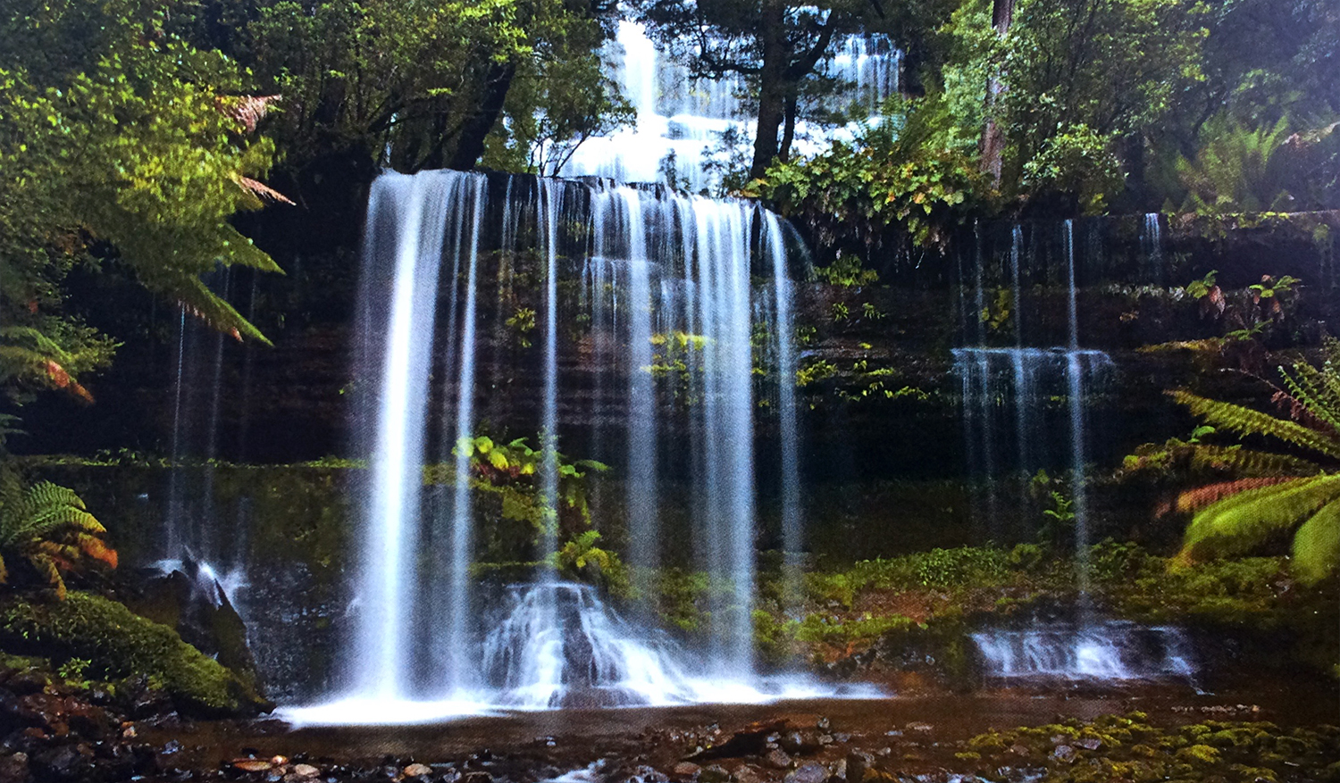 Postcards to Wanda: Tasmania