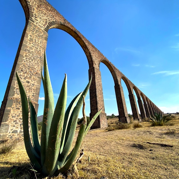 Michael’s Latest Article Shared with 1.5 Million Atlas Obscura Subscribers