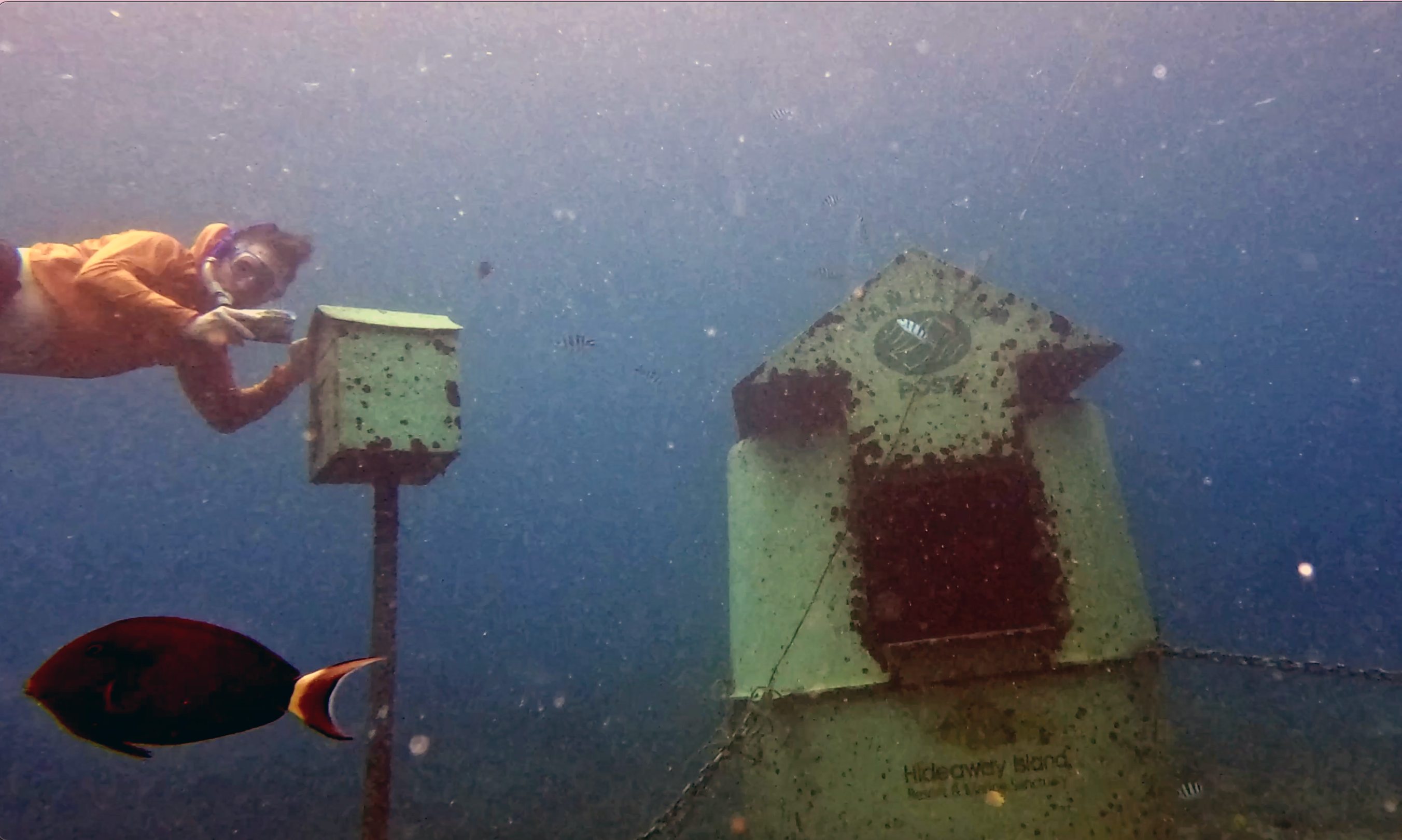 Vanuatu: Beachfront Acrobats and an Underwater Post Office